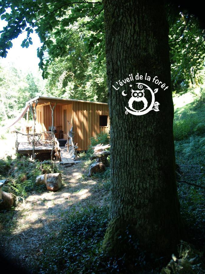 Gite Nature Au Pied Des Hetres Vitrac-sur-Montane Exterior photo