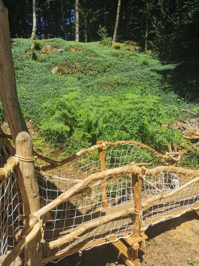 Gite Nature Au Pied Des Hetres Vitrac-sur-Montane Exterior photo