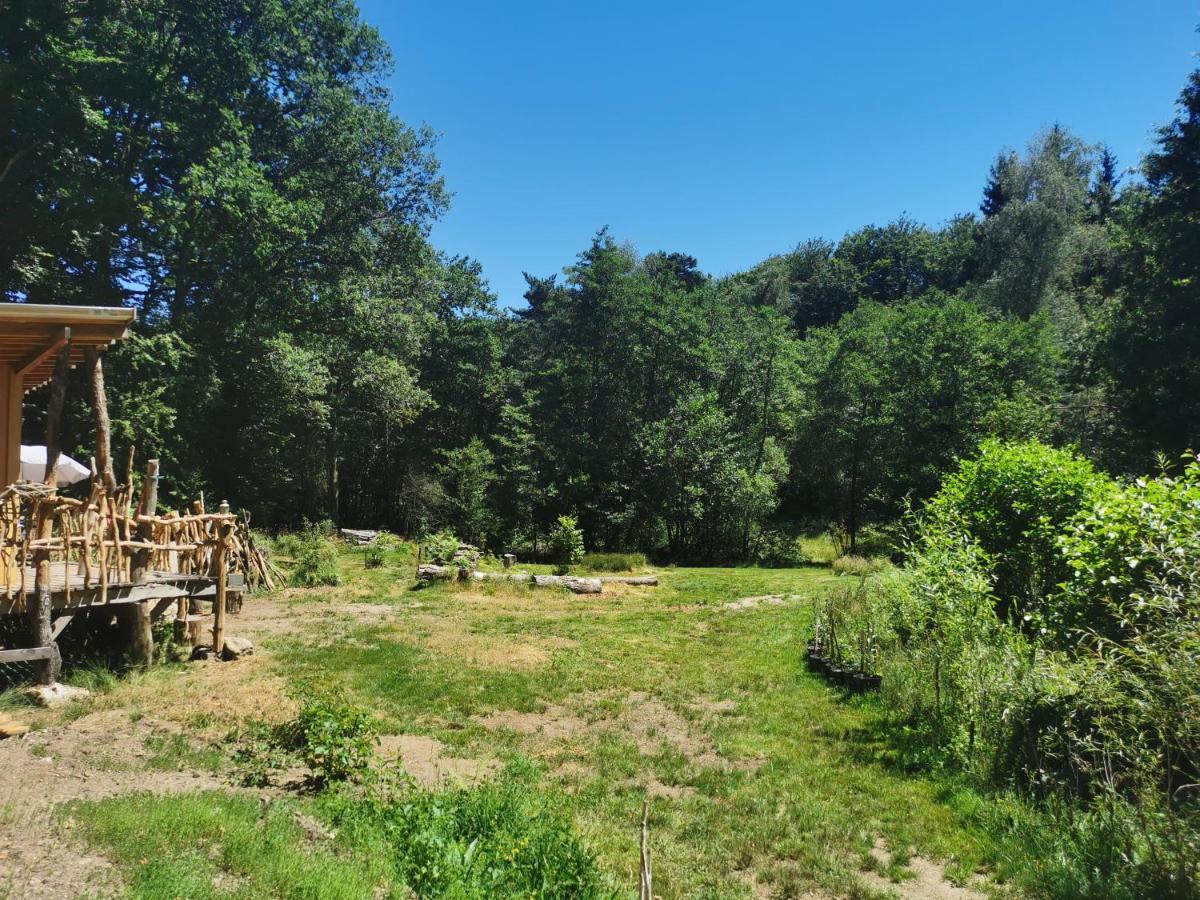 Gite Nature Au Pied Des Hetres Vitrac-sur-Montane Exterior photo