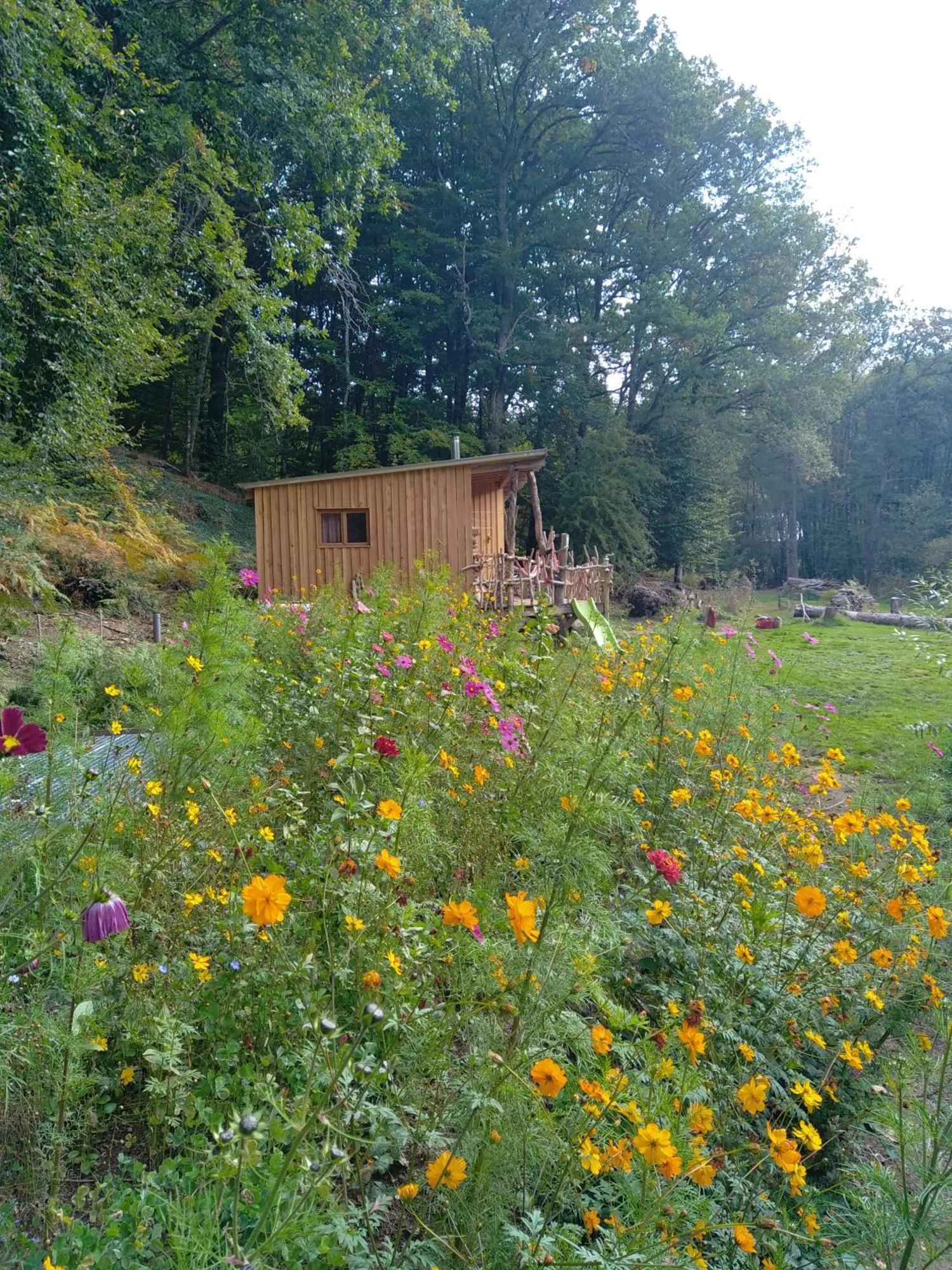 Gite Nature Au Pied Des Hetres Vitrac-sur-Montane Exterior photo