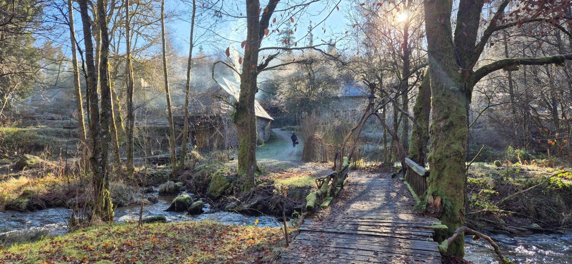 Gite Nature Au Pied Des Hetres Vitrac-sur-Montane Exterior photo